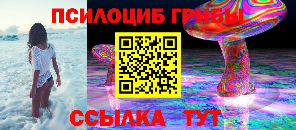 Псилоцибиновые грибы мицелий  наркота  Омск  Галлюциногенные грибы прущие грибы  Вход с VPN 